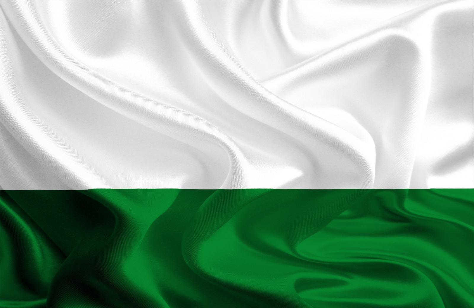 Bandera de Antioquia