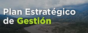 Plan Estrategico de Gestion