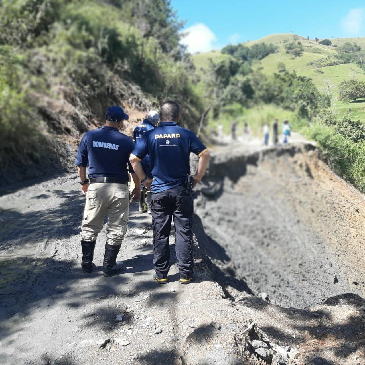 Dapard asistencia técnica