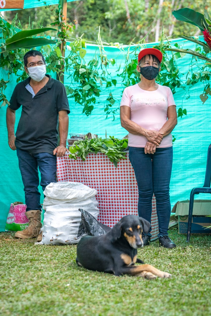 Seguridd alimentaria