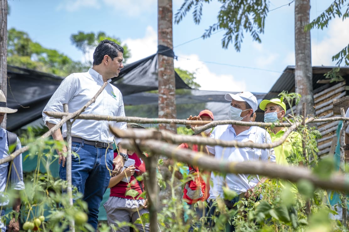 Seguridad alimentaria y nutricional
