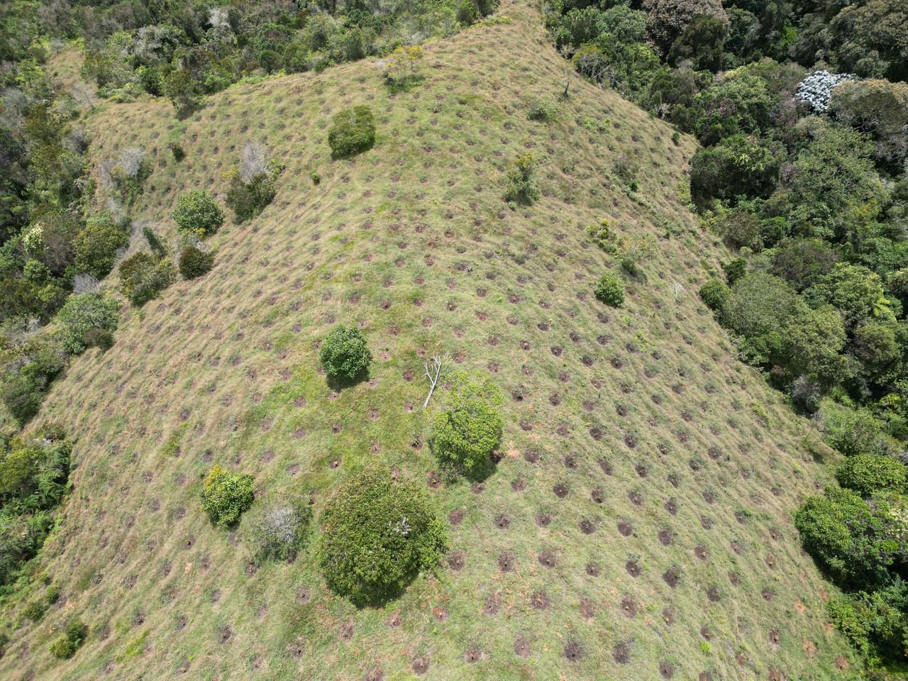 Gobernación de Antioquia