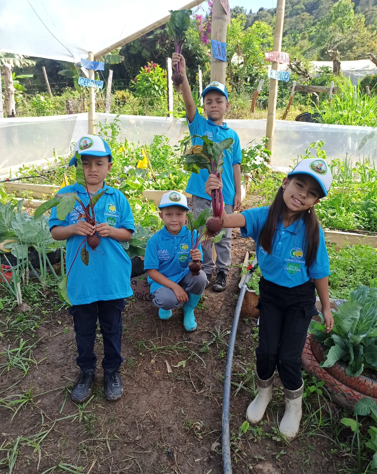 Gobernación de Antioquia