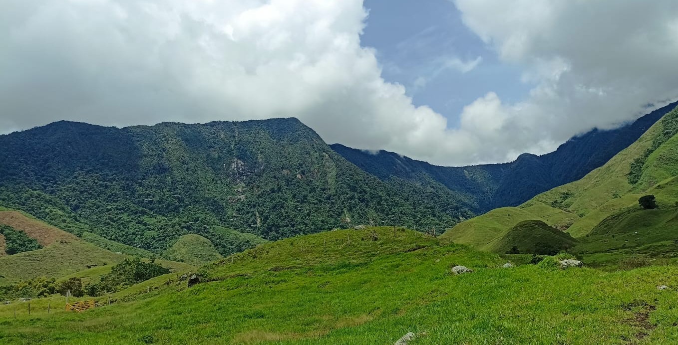 Gobernación de Antioquia conmemora el Día Internacional del Medio Ambiente
