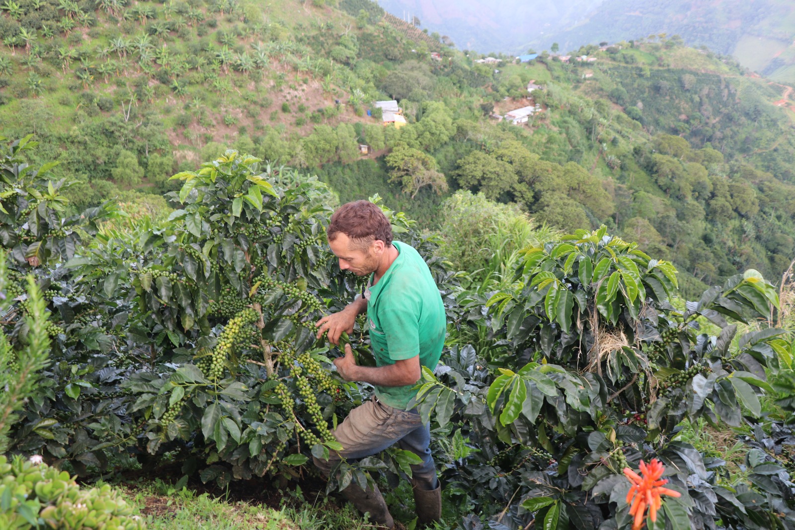 Gobernación de Antioquia