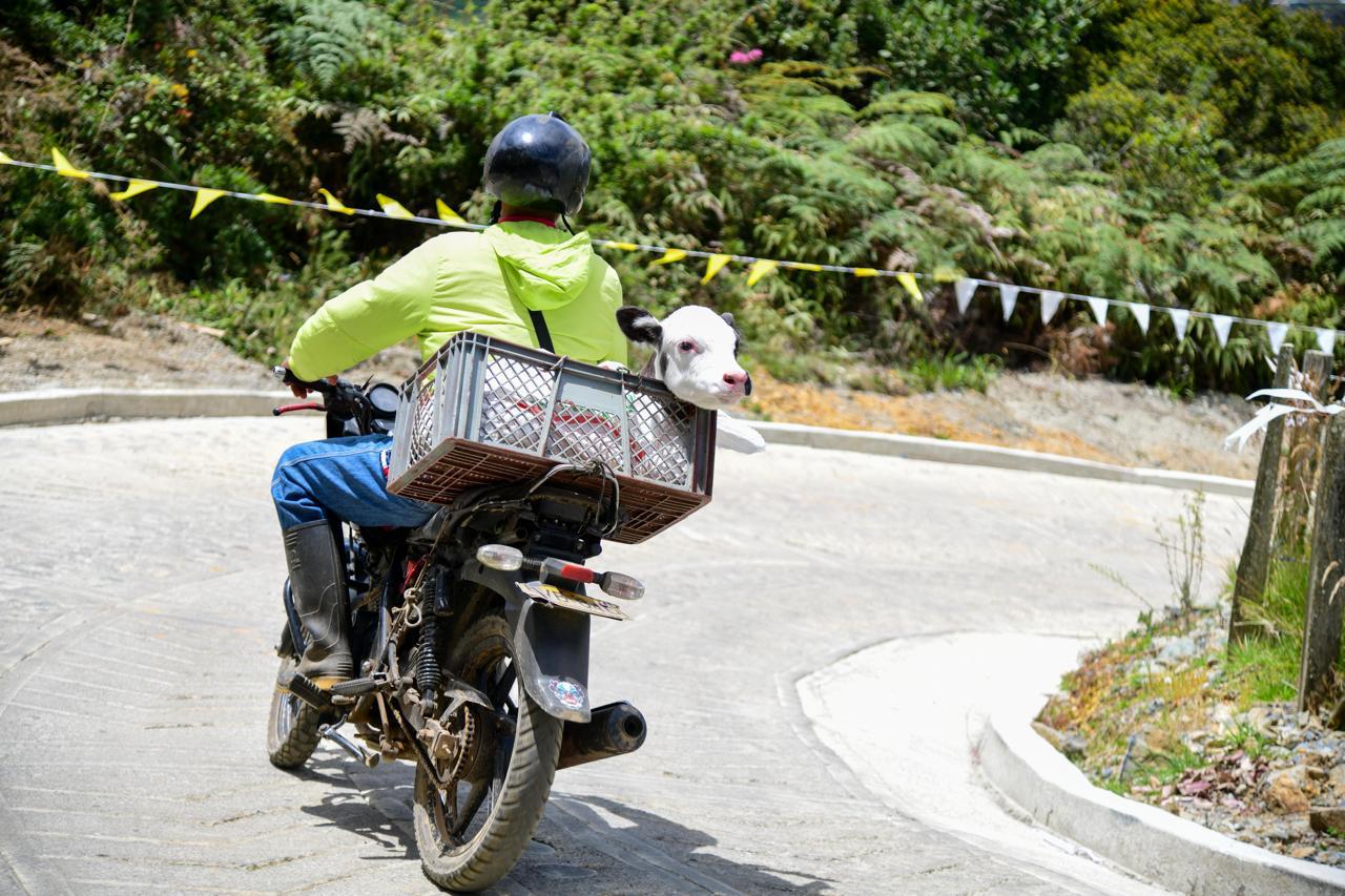 Gobernación de Antioquia