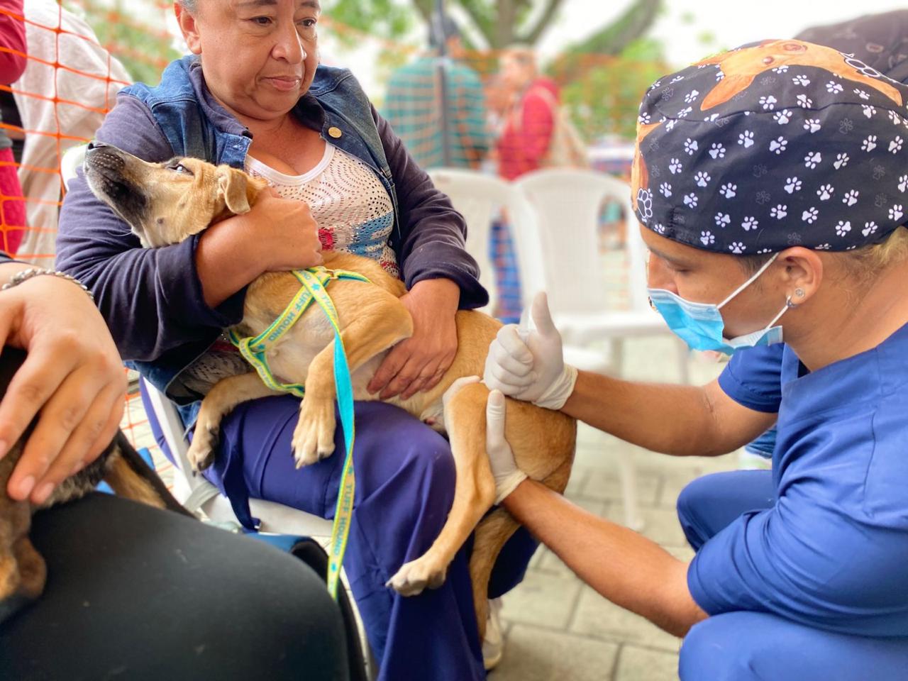 Antioquia avanza en bienestar animal con programa de esterilizaciones de caninos y felinos