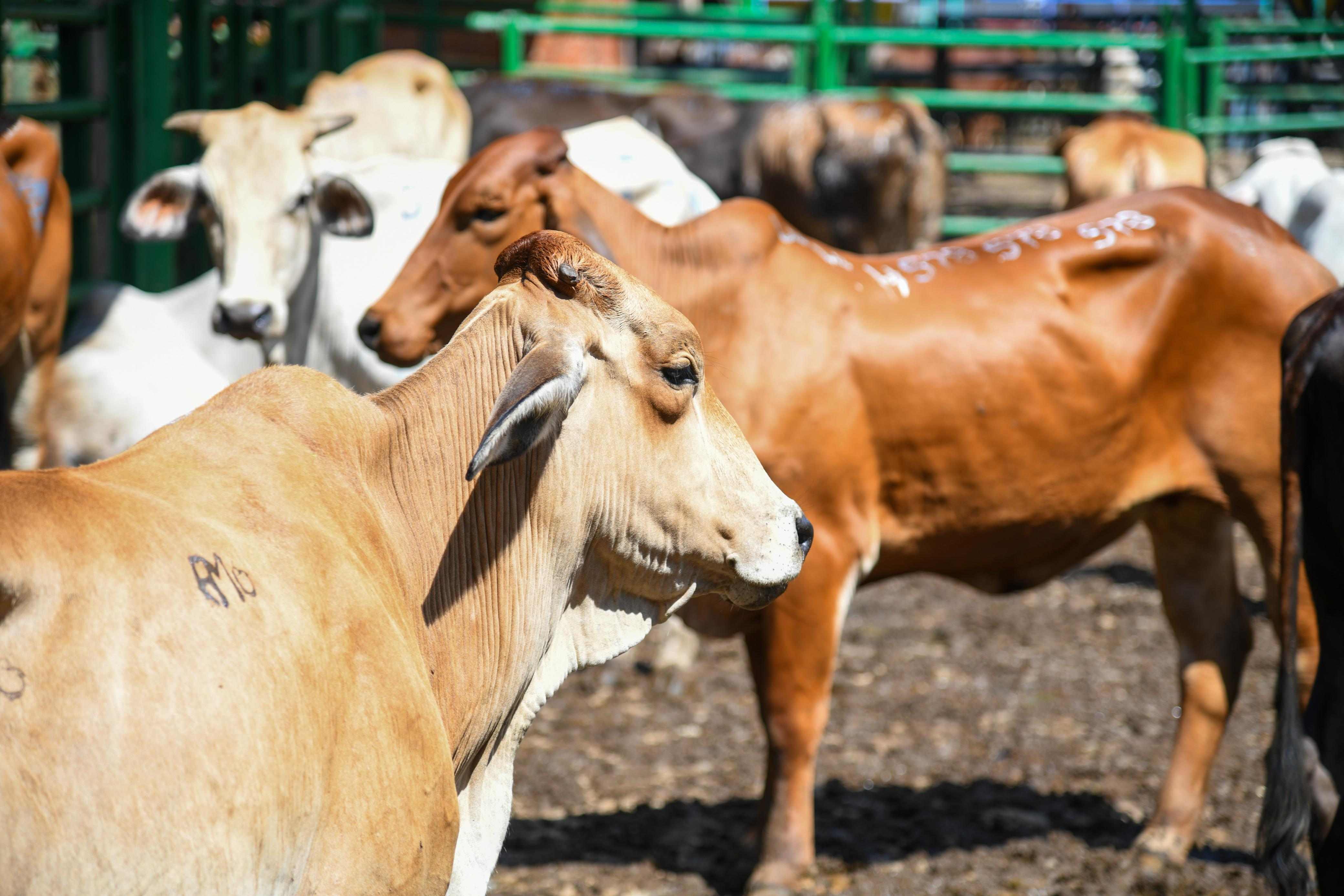 Gobernación de Antioquia