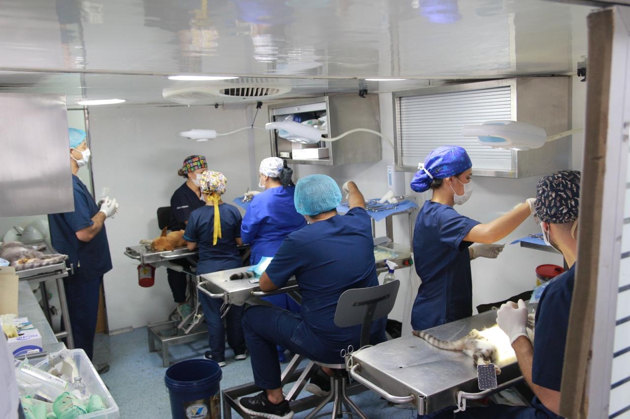 Con la celebración de la semana de la Biodiversidad, la Gobernación de Antioquia conmemora el Día Mundial de los Animales 