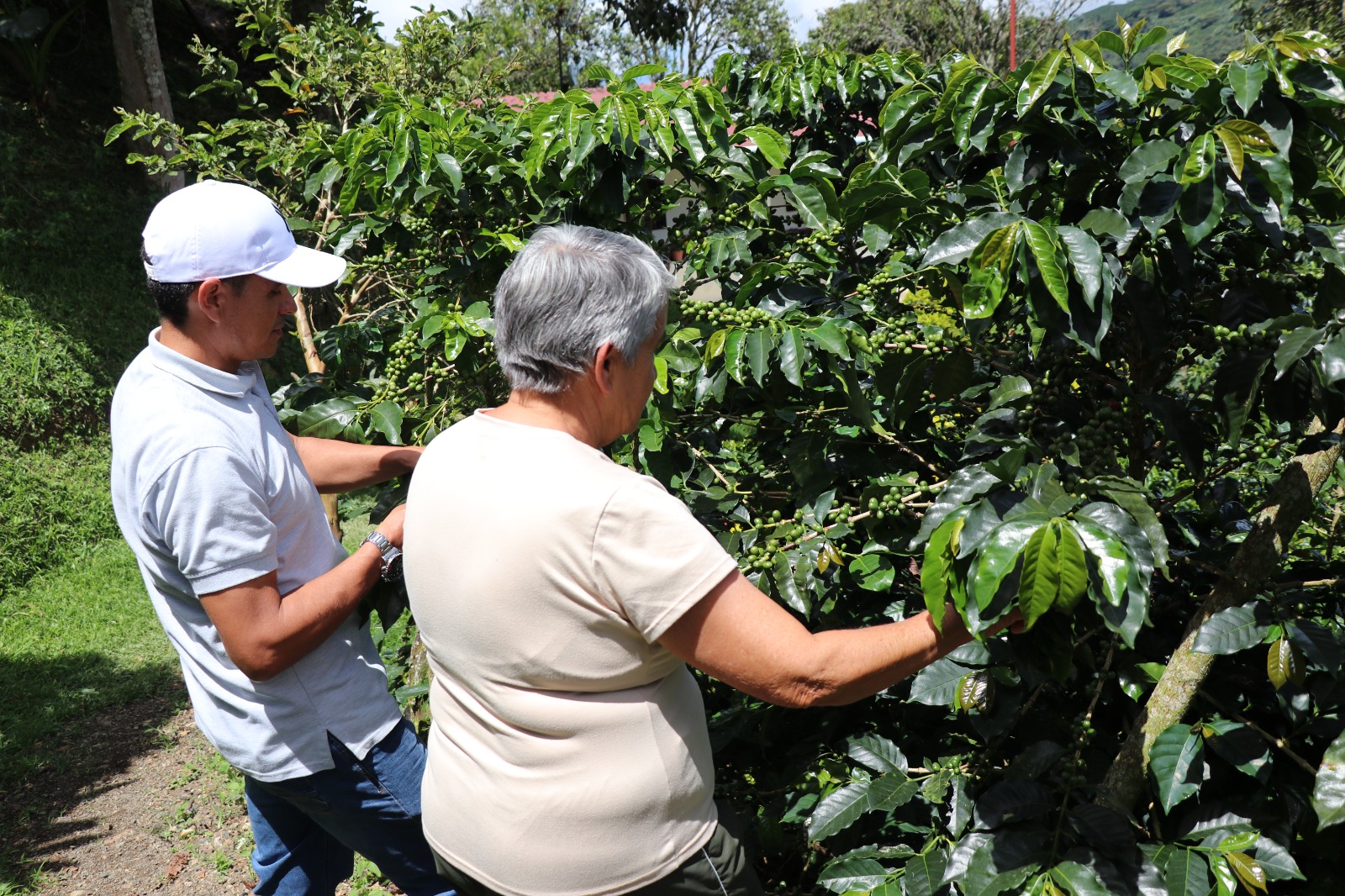 Más de 5 mil antioqueños se han beneficiado con la Turbina de Crédito Agropecuario en el departamento
