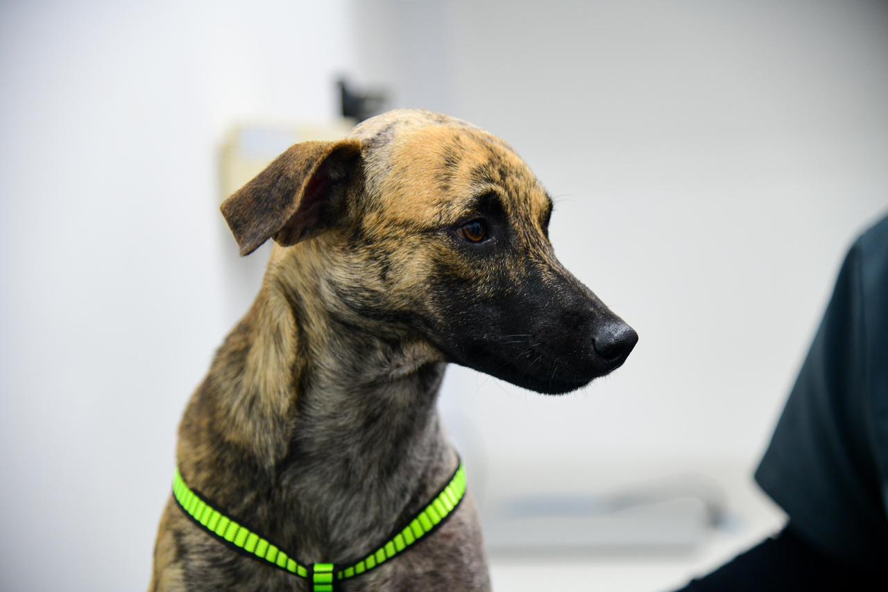 Gobernación de Antioquia