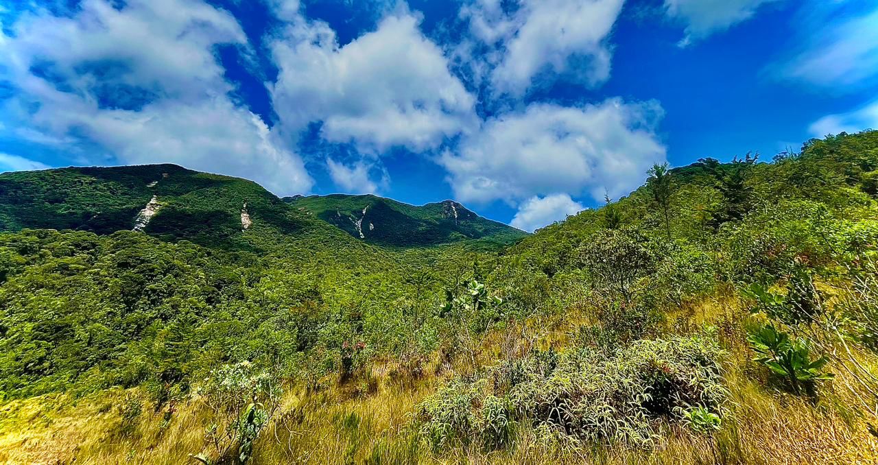 Gobernación de Antioquia