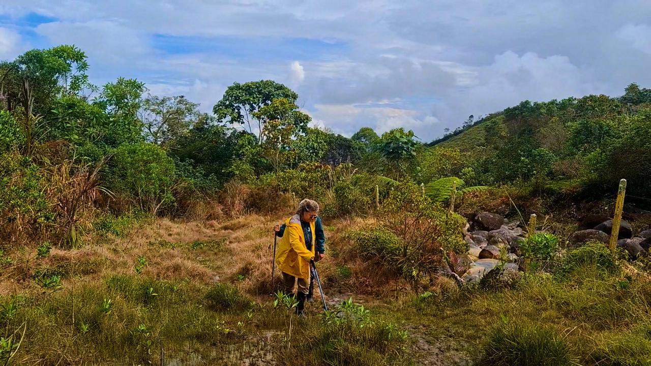 Más de 58 mil hectáreas protegidas: el balance ambiental de Guardacuencas Antioquia en 2025