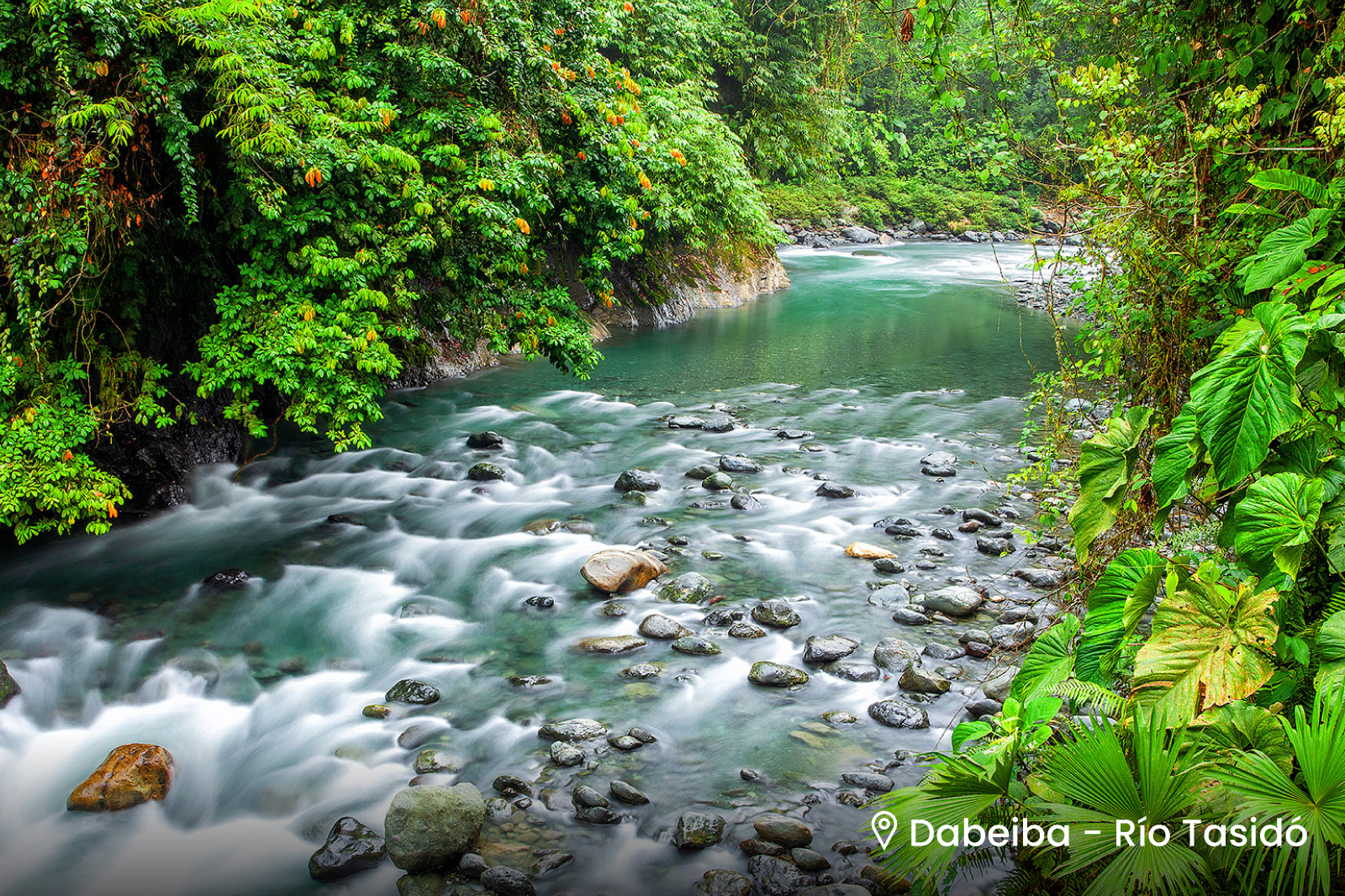 Sostenibilidad ambiental