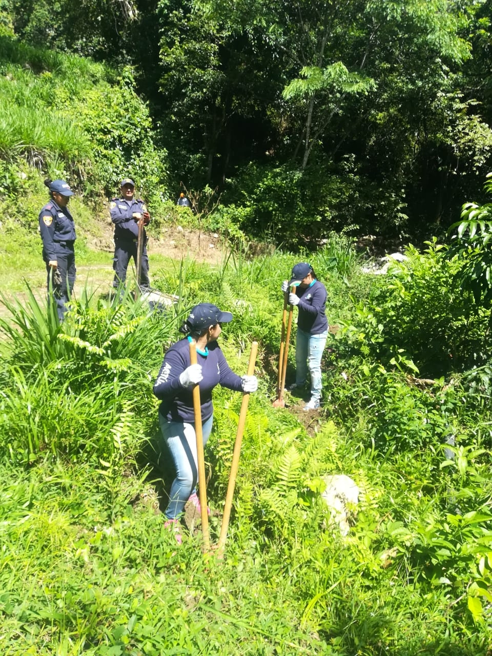 Con Gran Sembratón, se firmará la alianza Antioquia unida contra la deforestación