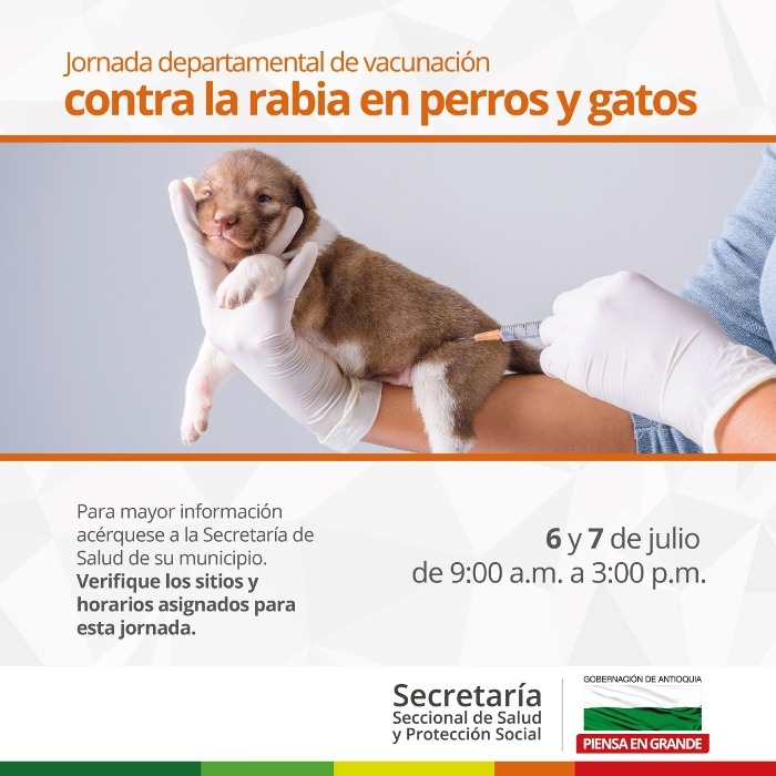 Antioquia libre de rabia en perros y gatos