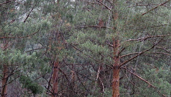 Alistamiento ante la temporada de lluvias