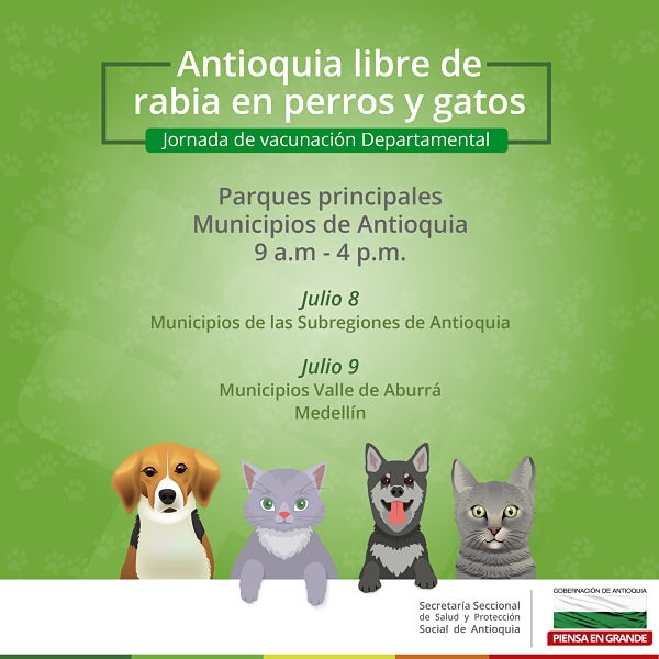 Antioquia trabaja para eliminar la Rabia en perros y gatos
