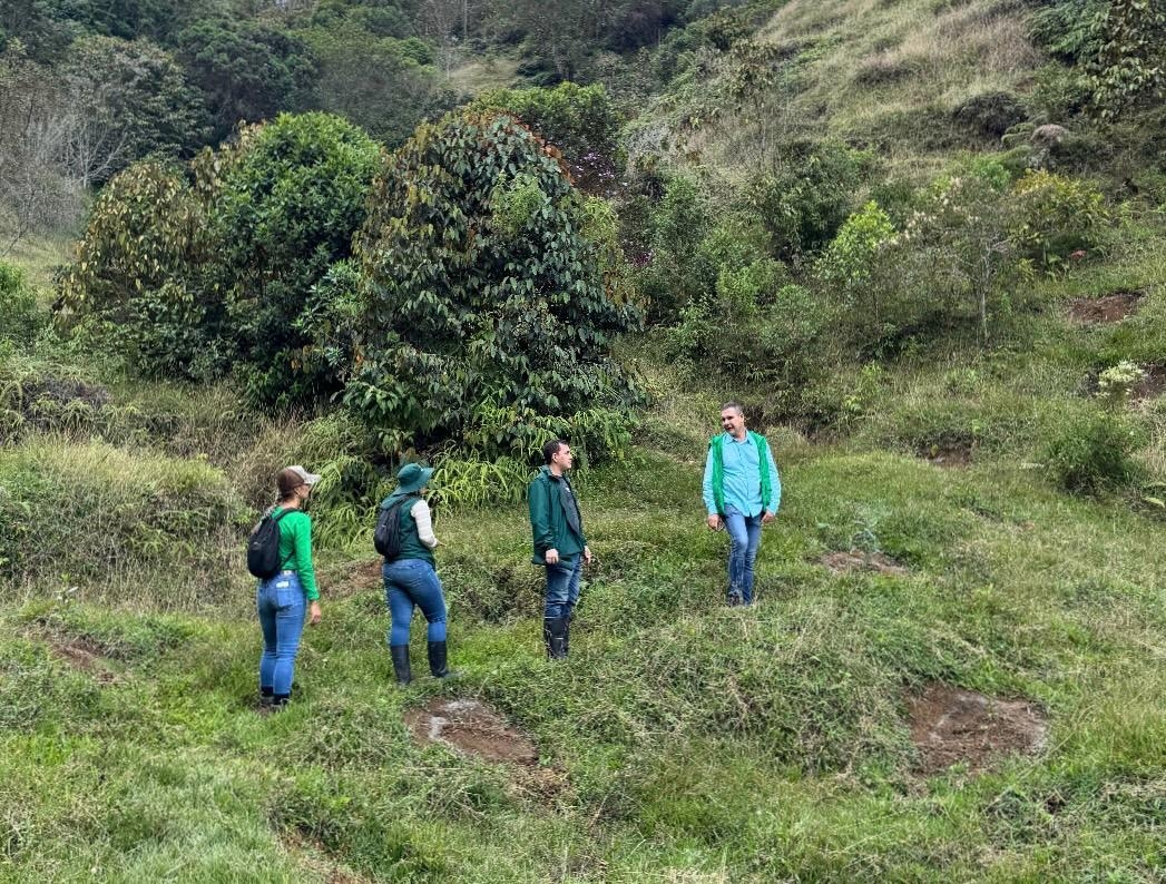 Con el proyecto Cuencas Abastecedoras de Acueductos de Antioquia, la Secretaría de Ambiente fortalece la reforestación en el departamento