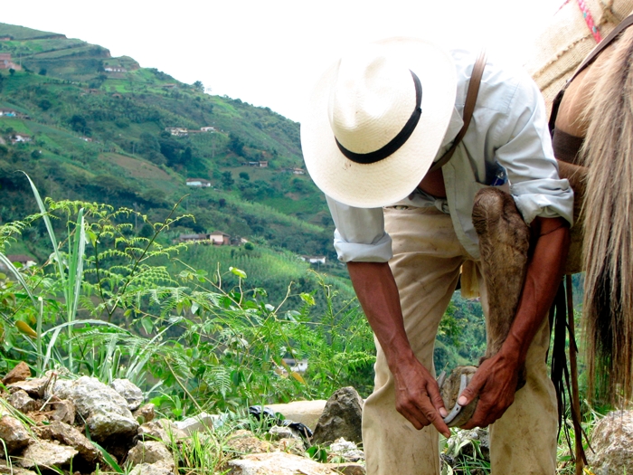 El Campesinado Sí Cuenta en la Encuesta de Cultura Política que se realiza en Colombia