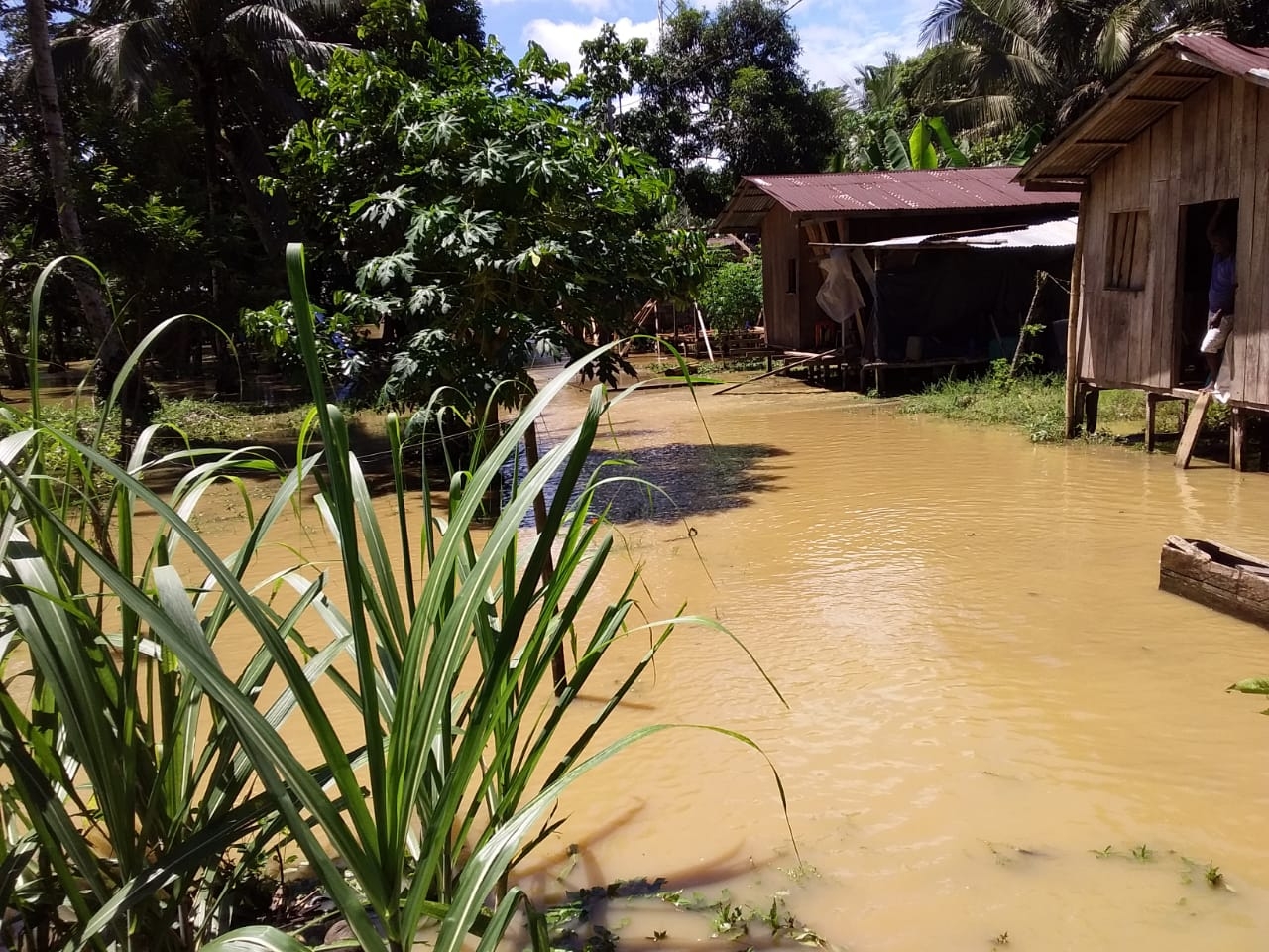 Secretaría de Agricultura apoyará sector agrícola afectado por el invierno en Vigía del Fuerte