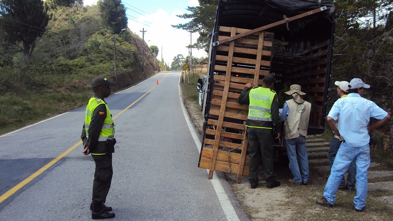En 95 de los 125 municipios antioqueños se registró total normalidad este jueves