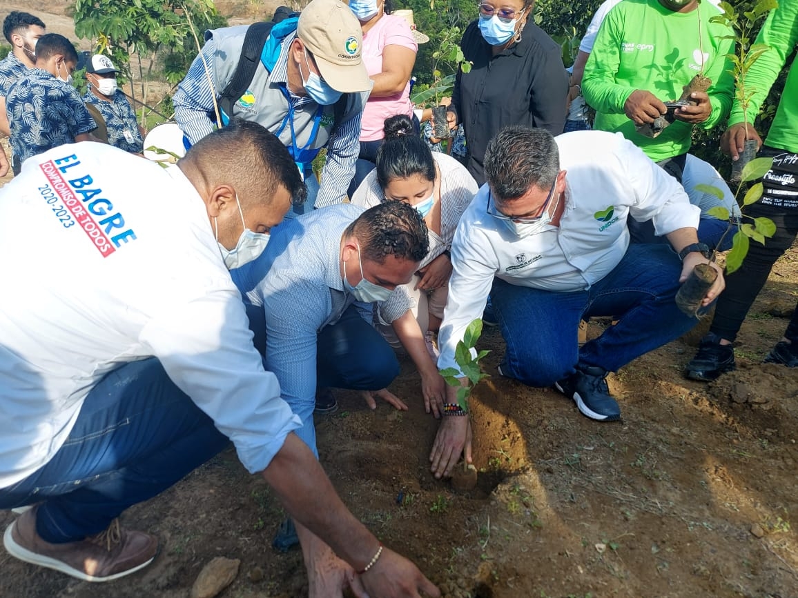 En 2021, el Proyecto de Recuperación de Suelos Degradados cumple sus metas en predios de El Bagre y Tarazá