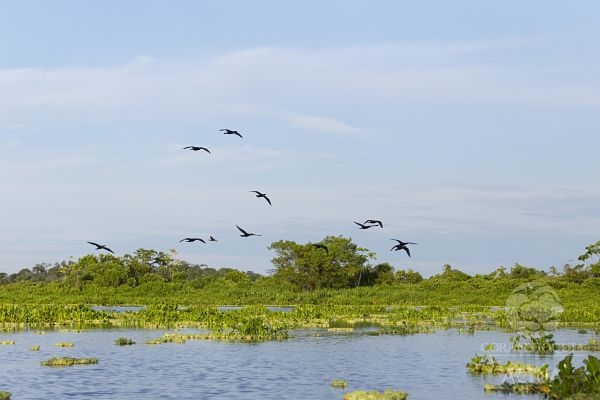 Hoy estamos salvando una gran parte de la vida de Colombia"