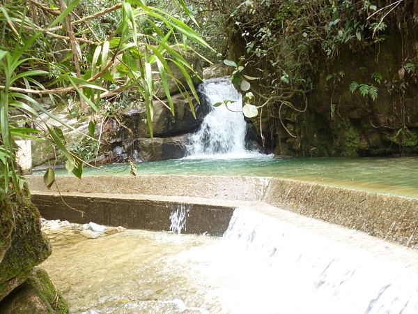 Más guardabosques para Antioquia