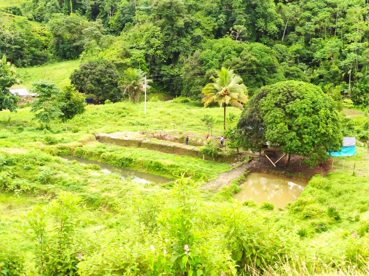 Autoridades ofrecieron asesoría sobre adecuación de terrenos a excombatientes en Mutatá