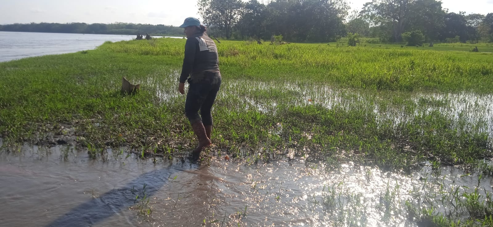 Fuertes lluvias de las últimas horas en Antioquia generaron inundaciones, vendavales y movimientos en masa