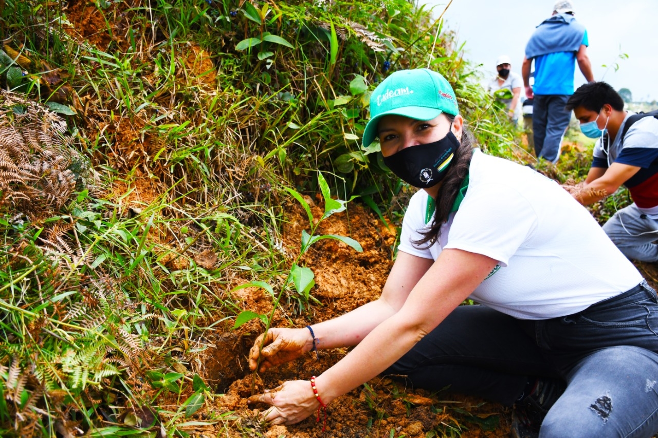 Más de 123.000 árboles sembrados y miles de botellas recolectadas en el Día Mundial de la Tierra