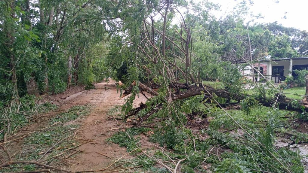 Gobernación de Antioquia presente en Puerto Nare apoyando la atención de la emergencia por vendaval que deja un total 250 familias damnificadas