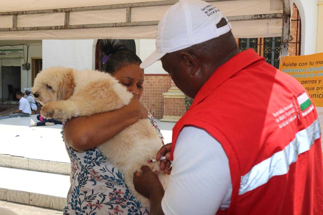 Antioquia reclama a Minsalud vacuna antirrábica