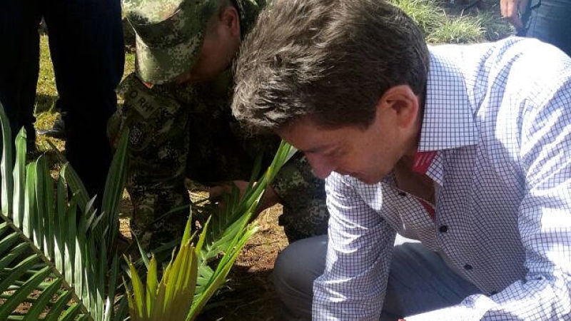 Más de 15 mil nuevos árboles han sido plantados por todo el Departamento