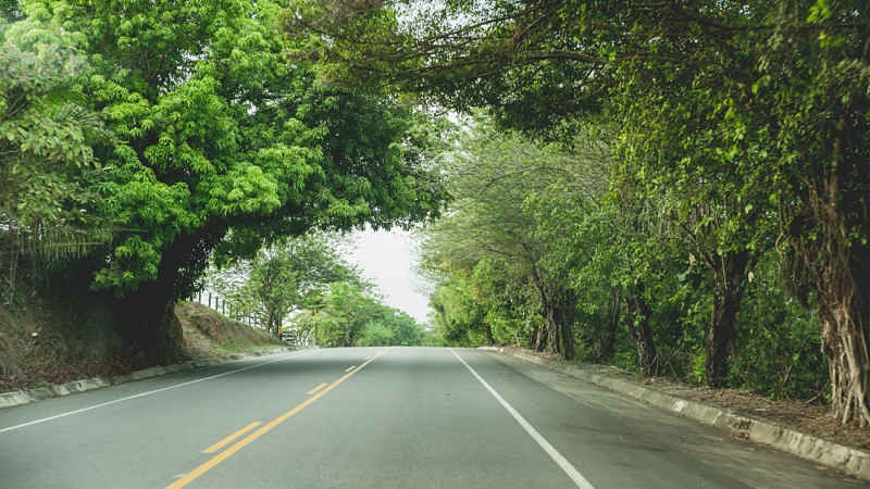 Pavimentación de la vía Anorí – El Limón. ¡Cumpliendo la palabra!