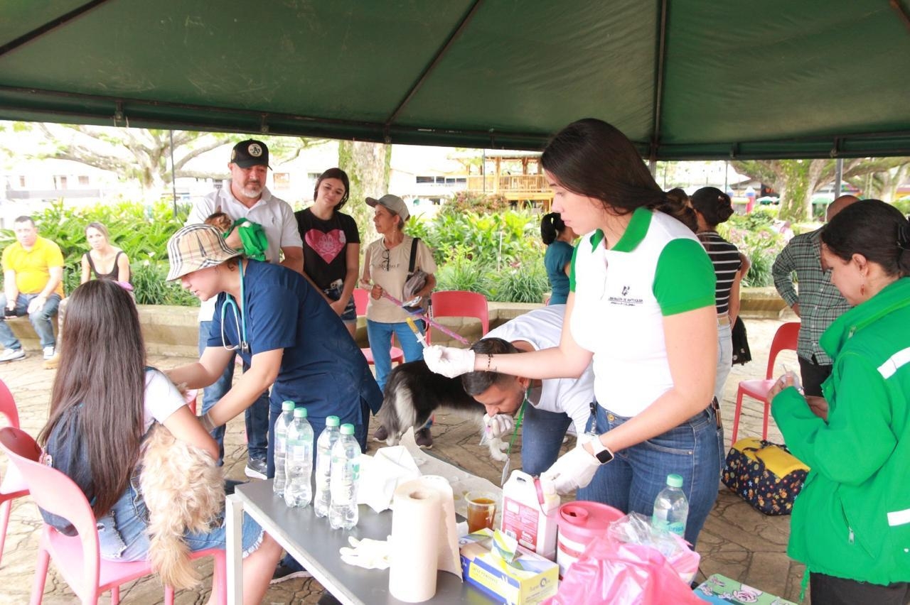 Gobernación de Antioquia fortalece las Jornadas de Bienestar Animal en todo el departamento