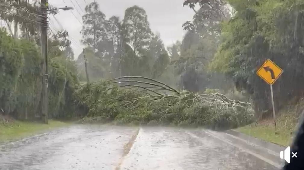 Tras fuertes lluvias cinco municipios de Antioquia reportan eventos, estos no dejan mayores afectaciones ni personas lesionadas
