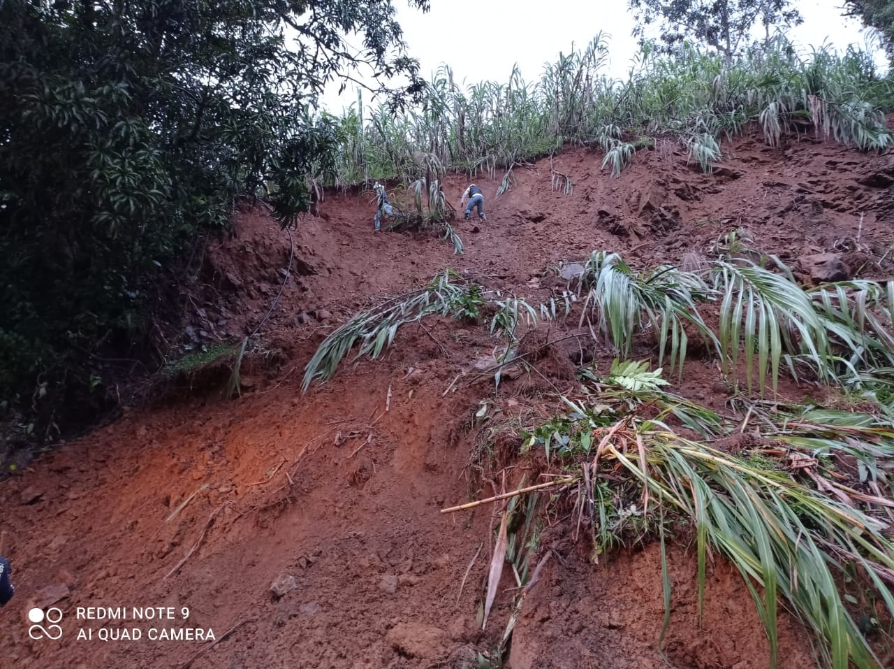 Deslizamiento de tierra deja hasta el momento 7 fallecidos y 9 heridos en establecimiento comercial de la vereda Cachirime en Puerto Valdivia