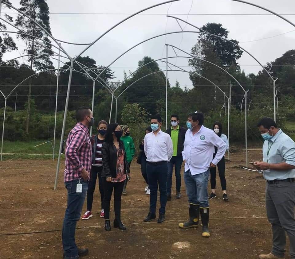 Antioquia multiplicará su producción agrícola con innovación y sostenibilidad