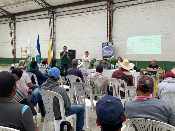 Gobernación de Antioquia implementa sistemas silvopastoriles para fortalecer la ganadería sostenible en Urrao