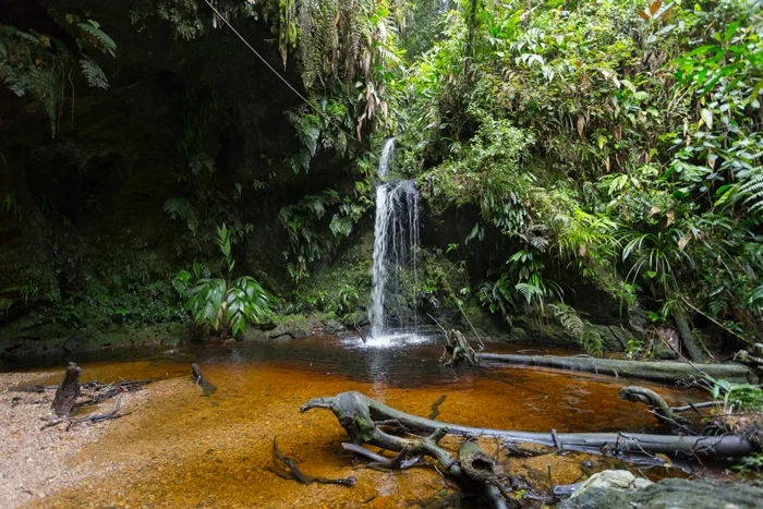 De la mano de las autoridades ambientales continuamos protegiendo el Recurso Hídrico