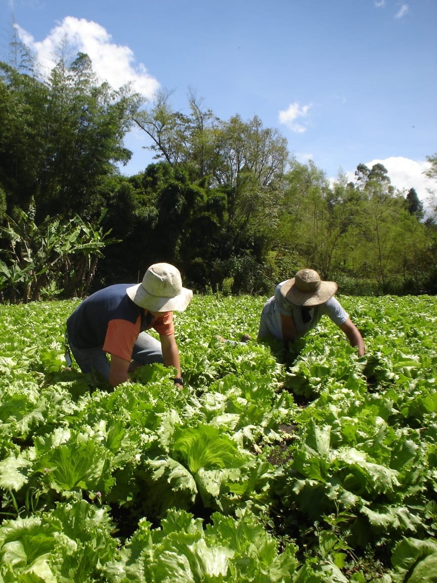 Convocatoria del programa Alianzas Productivas para la Vida continúa vigente hasta el 12 de junio