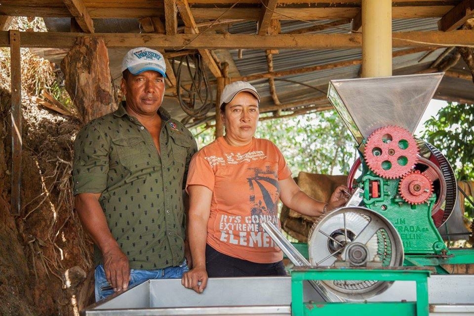 Antioquia pide respaldo y apoyo para sus caficultores