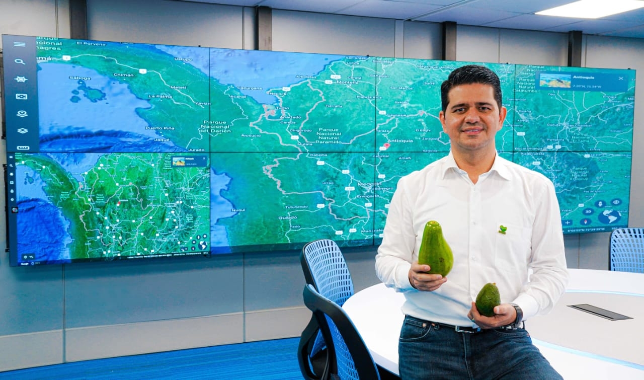 Antioquia se consolida como potencia exportadora de aguacate en Colombia