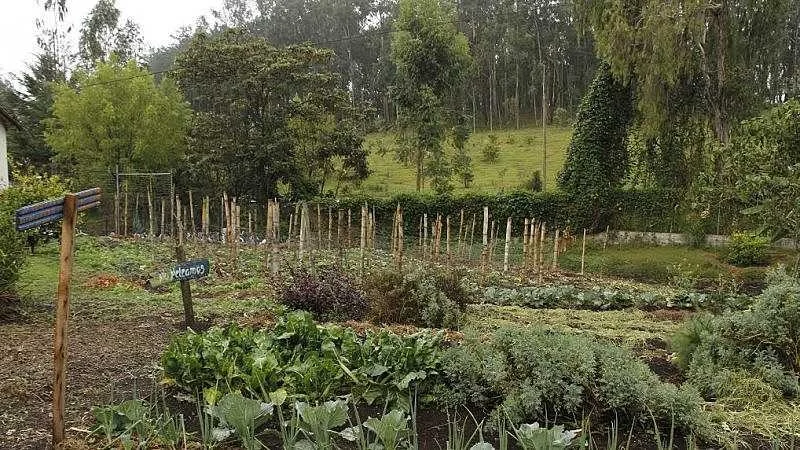 Visita técnica a la planta de beneficio de Cañasgordas