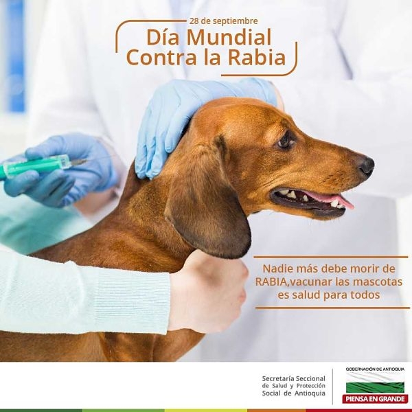 Septiembre 28, Día Mundial contra la Rabia