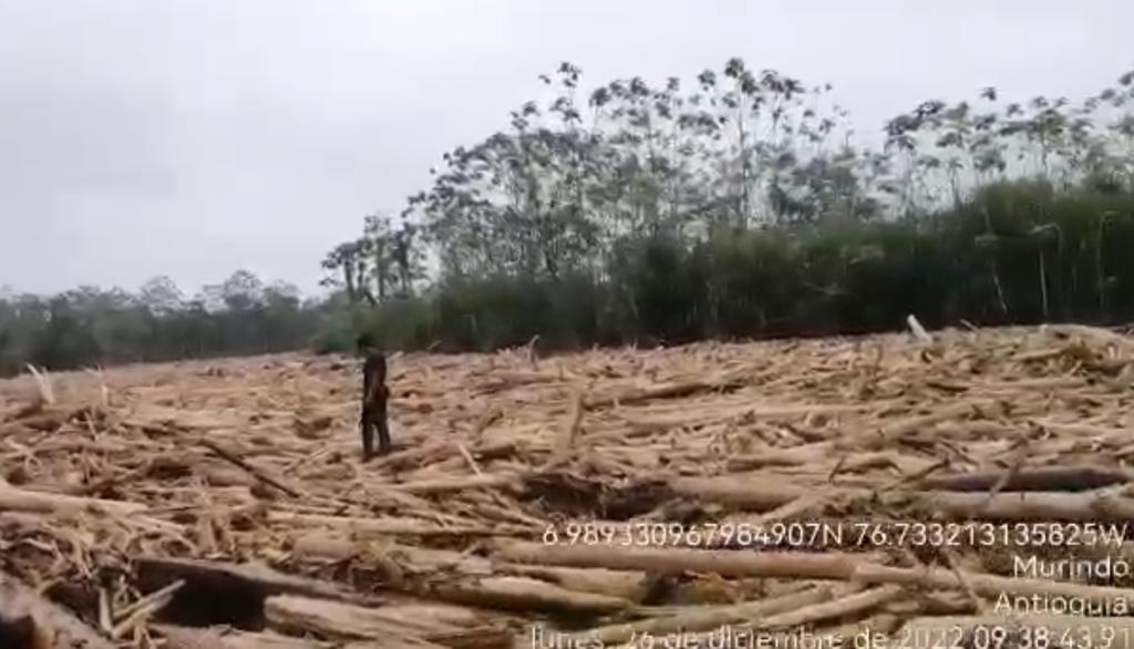 Dagran apoya a Murindó tras empalizada que obstruye el paso por el río Murindó