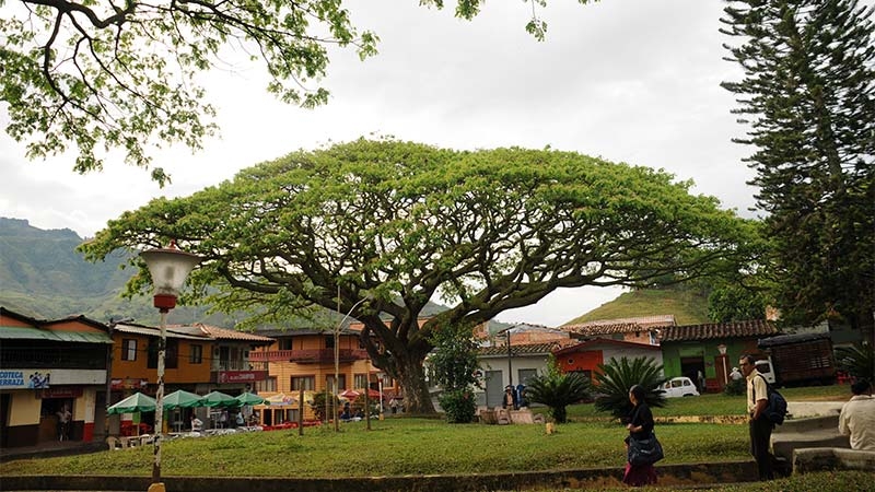 MANÁ presente en el Suroeste