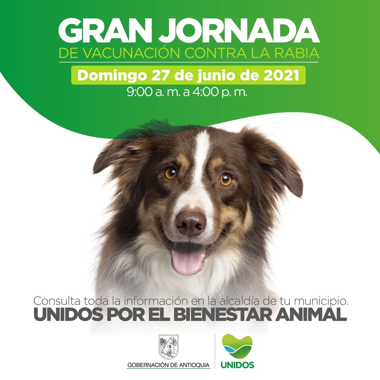 Este domingo 27 de junio inicia la jornada de vacunación departamental contra la rabia para perros y gatos.
